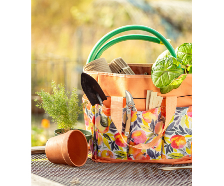 D37 SNSBAG2AB